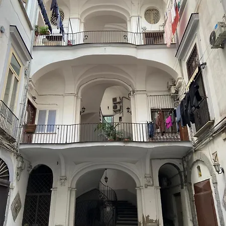 Paladino Al Centro - *