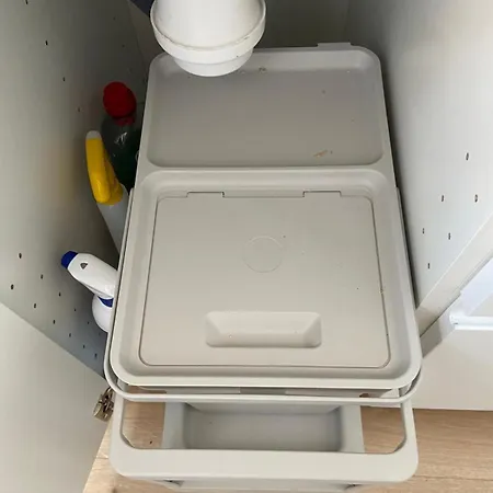 Paladino Al Centro *