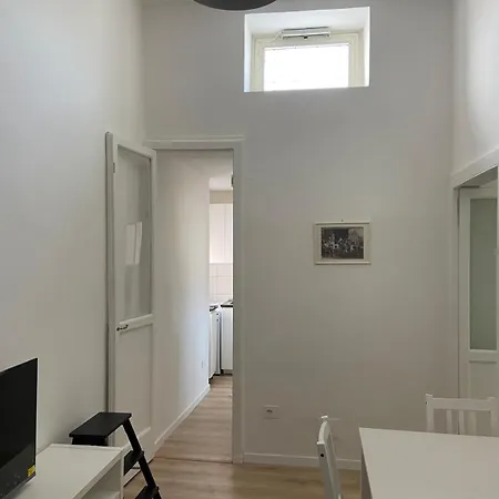 Paladino Al Centro *